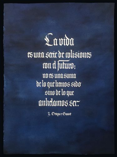 Cita de J. Ortega y Gasset 